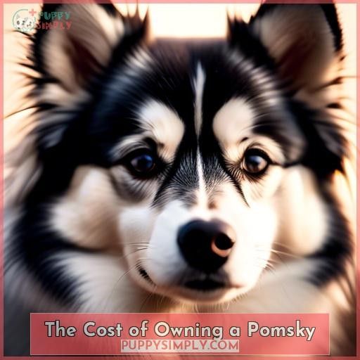 The Cost of Owning a Pomsky