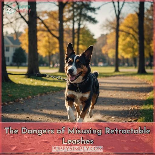 The Dangers of Misusing Retractable Leashes