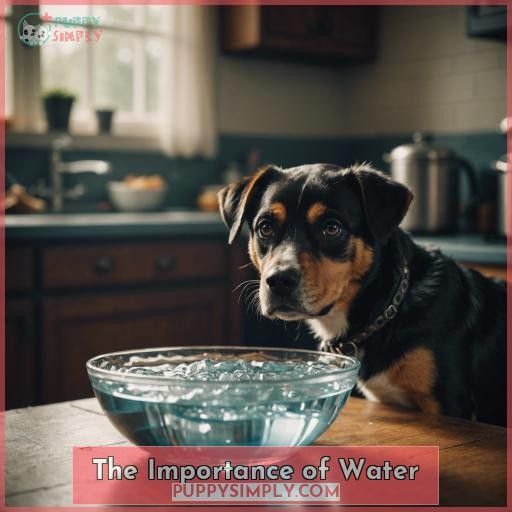 The Importance of Water