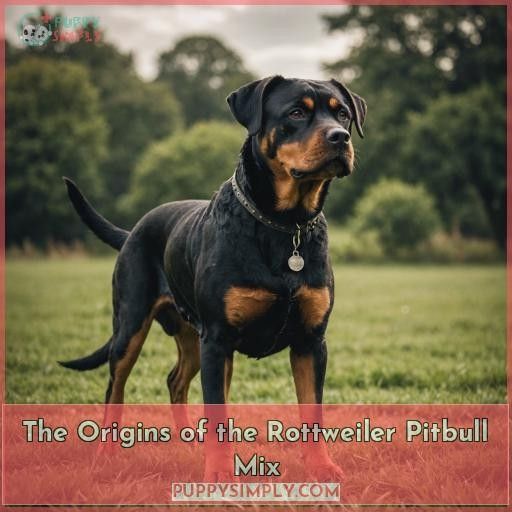 The Origins of the Rottweiler Pitbull Mix