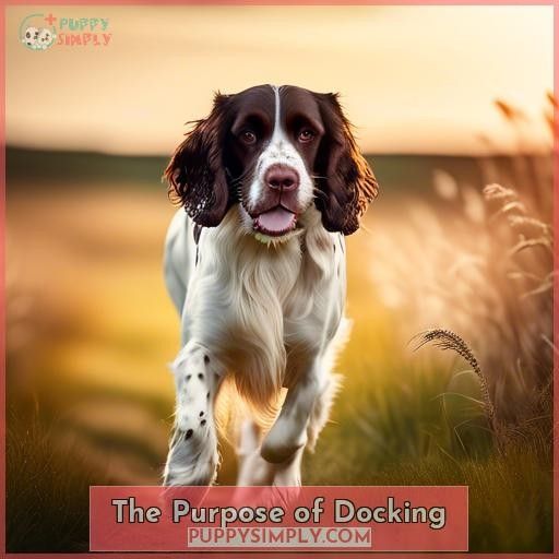 The Purpose of Docking