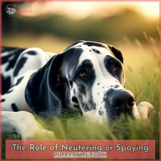 The Role of Neutering or Spaying