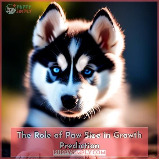 The Role of Paw Size in Growth Prediction