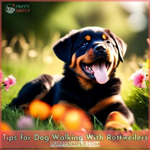 Tips for Dog Walking With Rottweilers