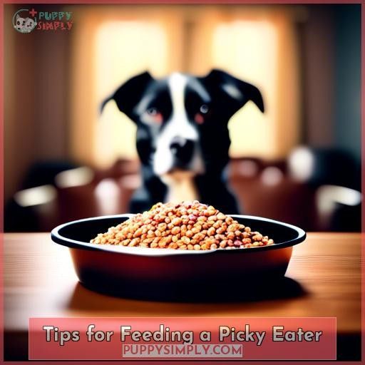 Tips for Feeding a Picky Eater