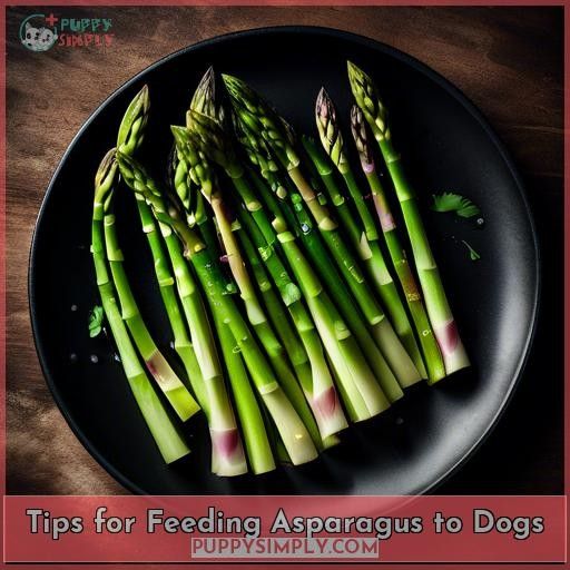 Tips for Feeding Asparagus to Dogs