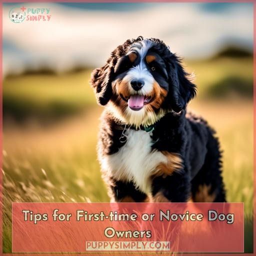 Tips for First-time or Novice Dog Owners