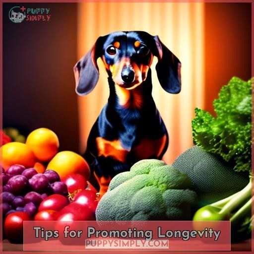 Tips for Promoting Longevity