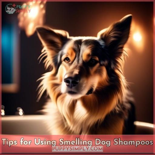Tips for Using Smelling Dog Shampoos