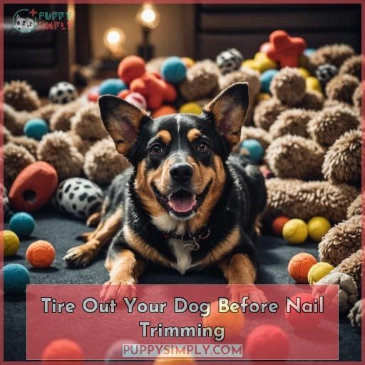 Tire Out Your Dog Before Nail Trimming