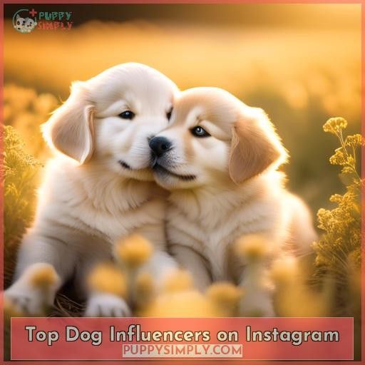 Top Dog Influencers on Instagram