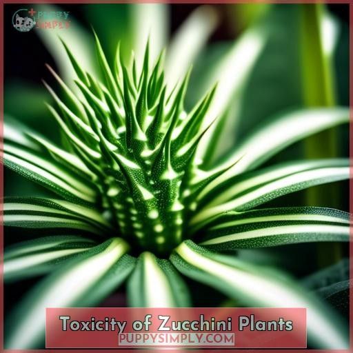 Toxicity of Zucchini Plants