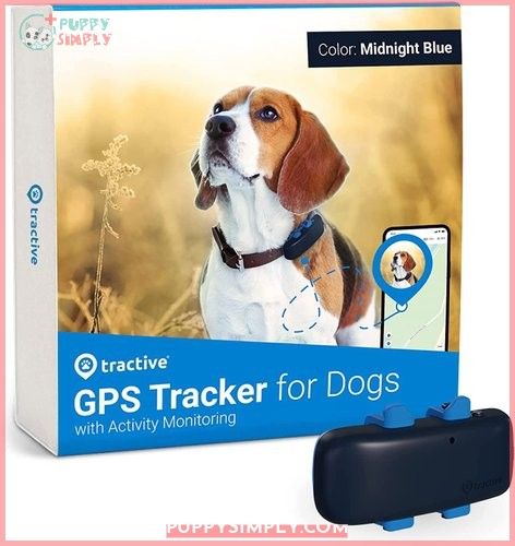 Tractive Dog GPS Tracker with