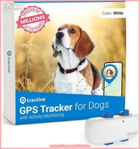 Tractive GPS Tracker for Dogs