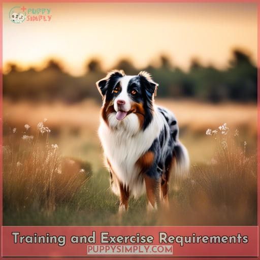Training and Exercise Requirements