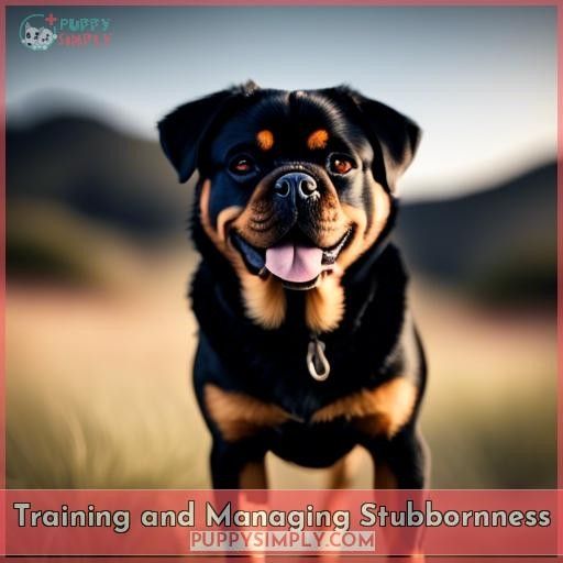 Training and Managing Stubbornness