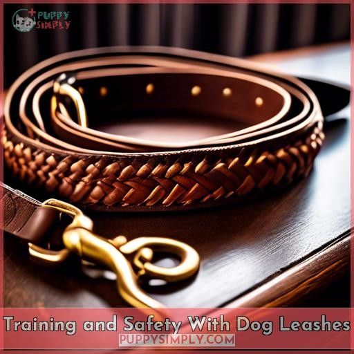 Training and Safety With Dog Leashes