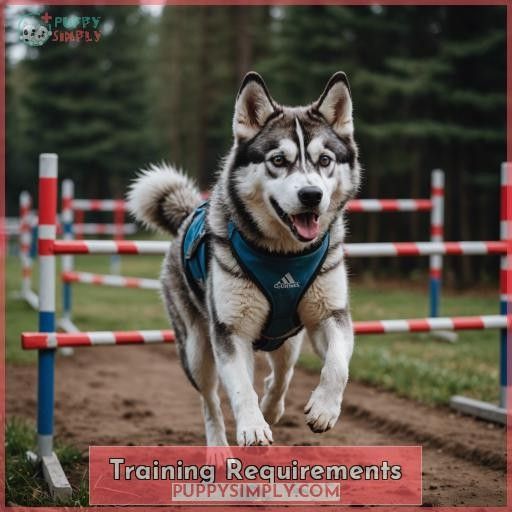 Training Requirements