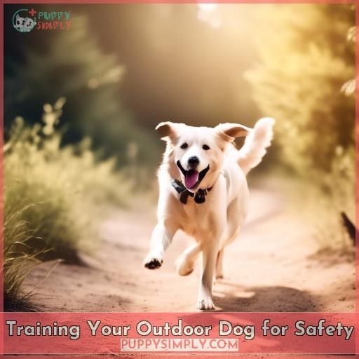 Training Your Outdoor Dog for Safety