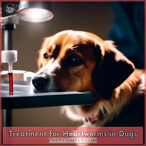 Treatment for Heartworms in Dogs