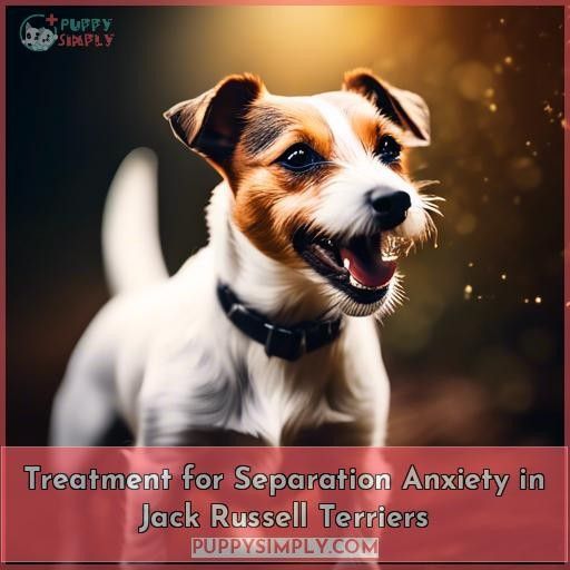 Treatment for Separation Anxiety in Jack Russell Terriers