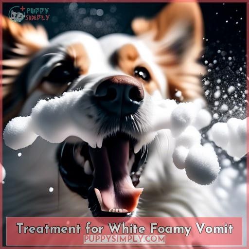Treatment for White Foamy Vomit