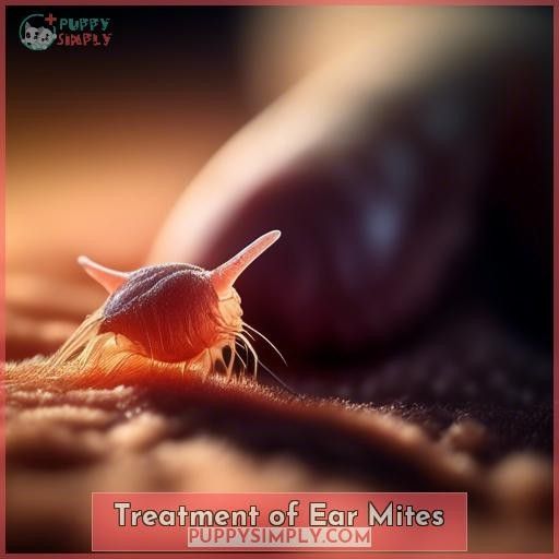Treatment of Ear Mites