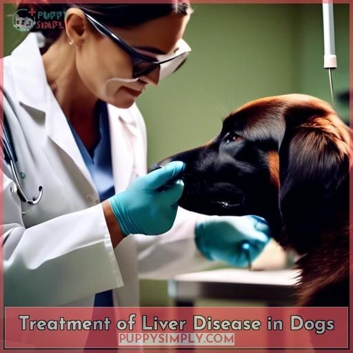 Treatment of Liver Disease in Dogs