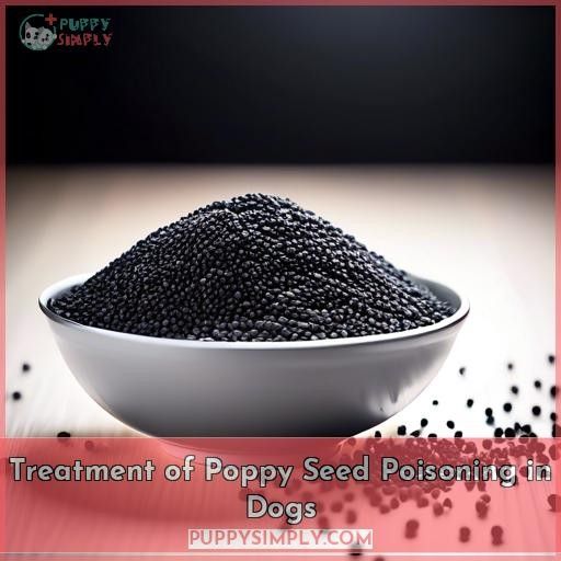Treatment of Poppy Seed Poisoning in Dogs