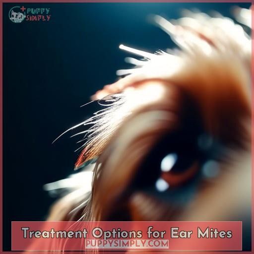 Treatment Options for Ear Mites
