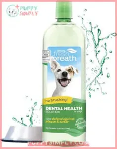 TropiClean Fresh Breath Original |