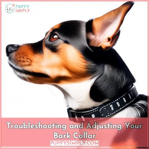 Troubleshooting and Adjusting Your Bark Collar