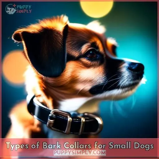 Types of Bark Collars for Small Dogs