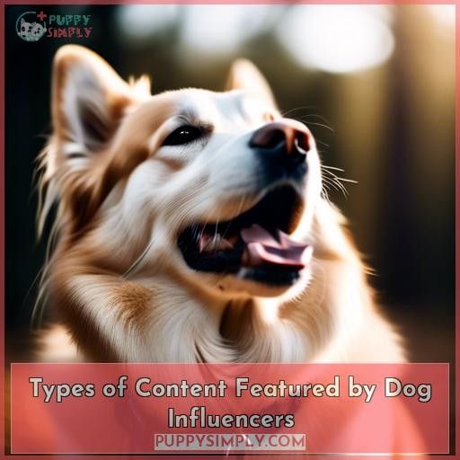 Types of Content Featured by Dog Influencers