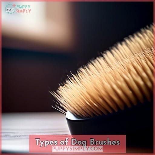 Types of Dog Brushes