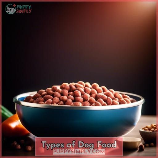 Types of Dog Food