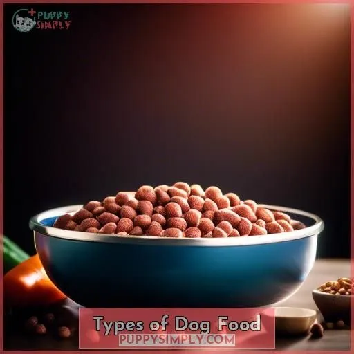 Types of Dog Food