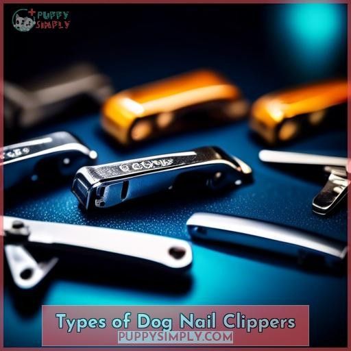 Types of Dog Nail Clippers