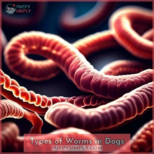 Types of Worms in Dogs