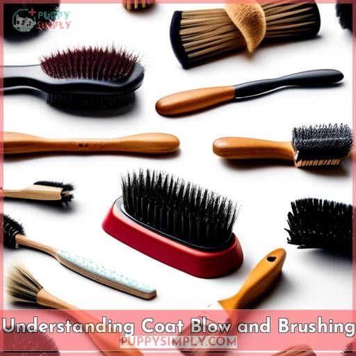 Understanding Coat Blow and Brushing