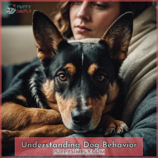 Understanding Dog Behavior