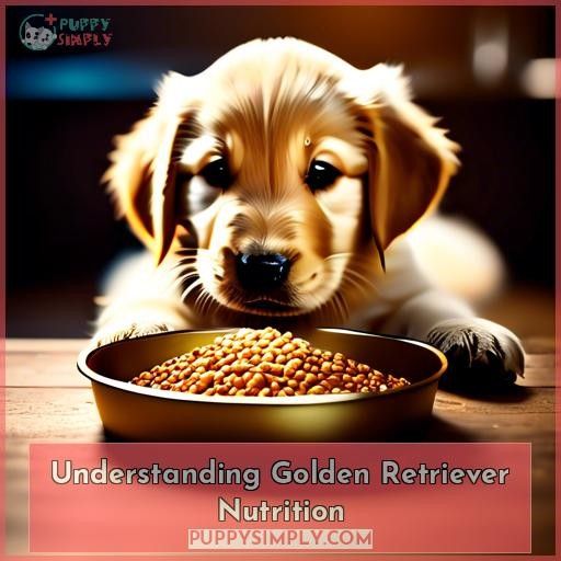 Understanding Golden Retriever Nutrition