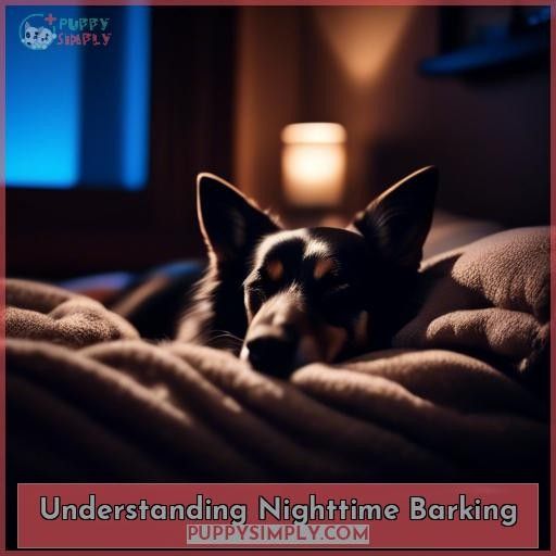 Understanding Nighttime Barking