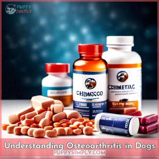 Understanding Osteoarthritis in Dogs