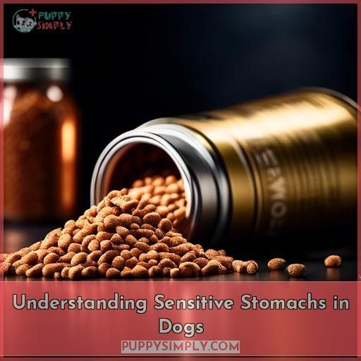 Understanding Sensitive Stomachs in Dogs