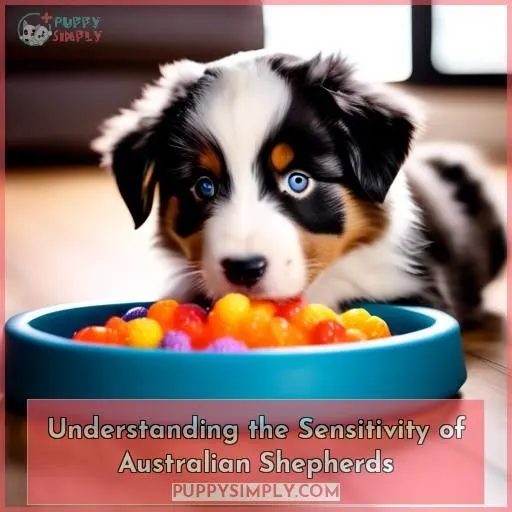 Understanding the Sensitivity of Australian Shepherds