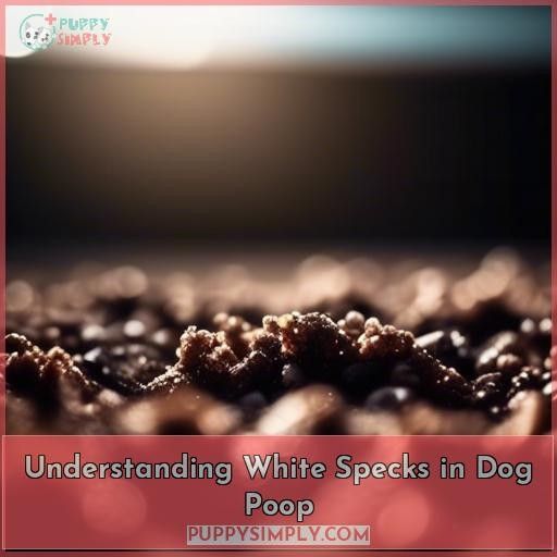Understanding White Specks in Dog Poop
