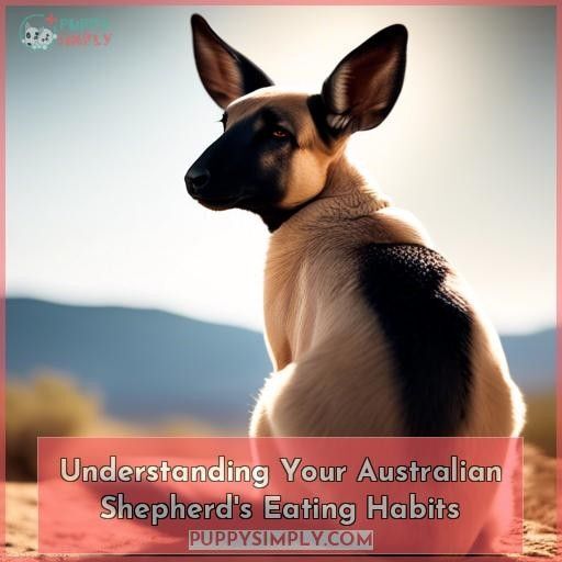 Understanding Your Australian Shepherd's Eating Habits Understanding Your Australian Shepherd's Eating Habits