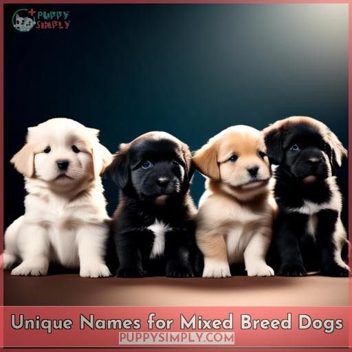 Unique Names for Mixed Breed Dogs