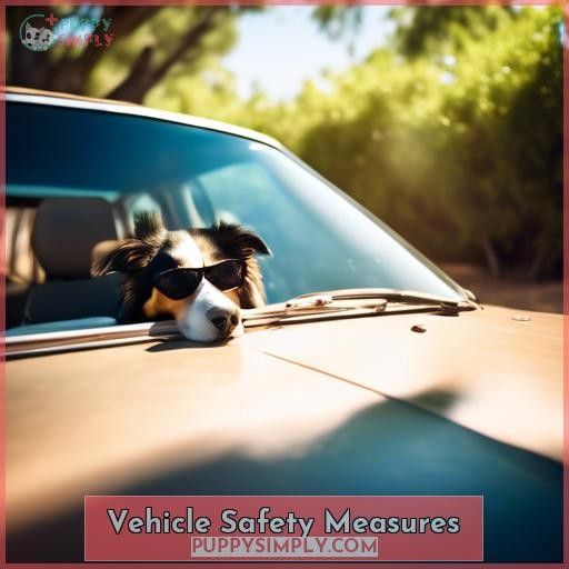Vehicle Safety Measures